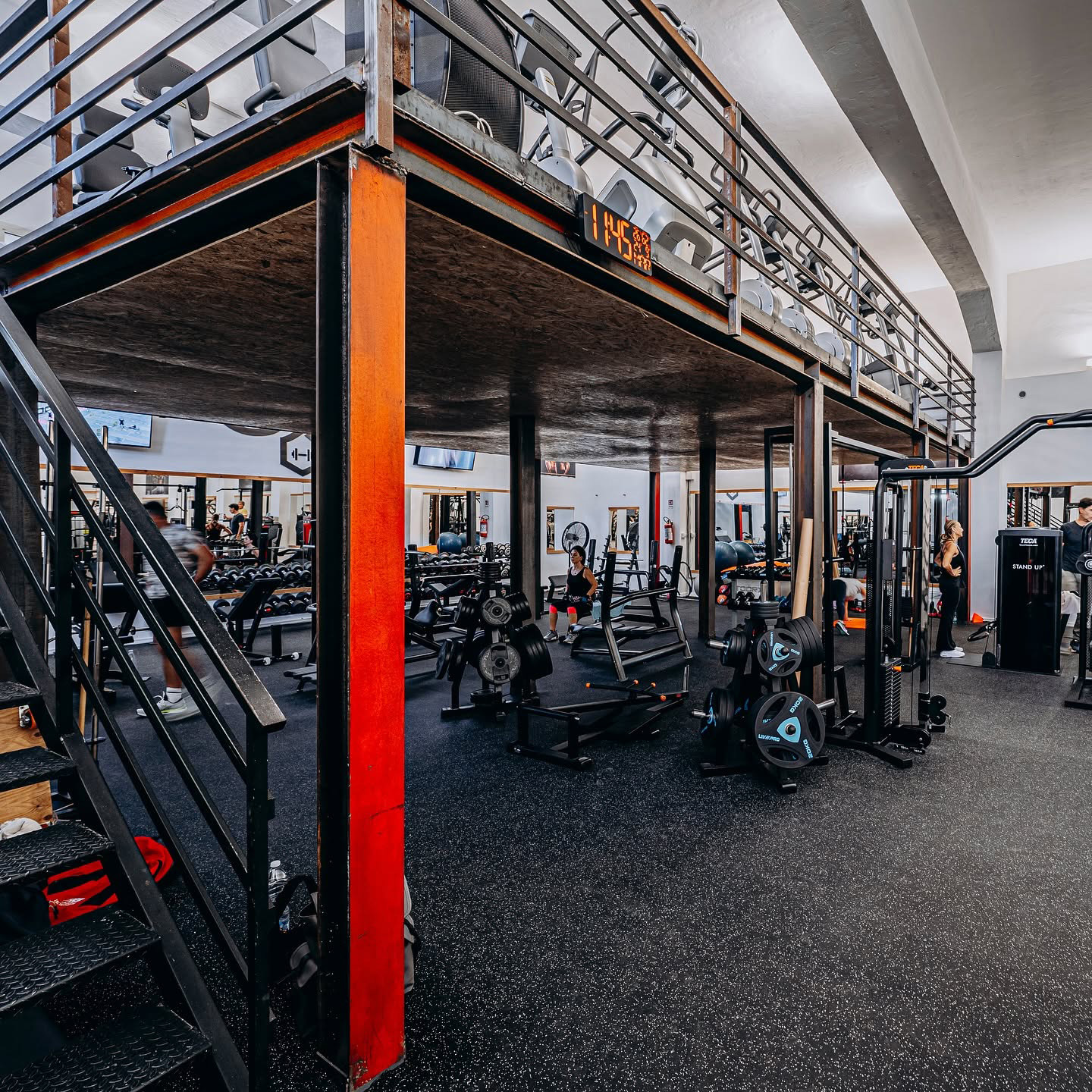 Palestra